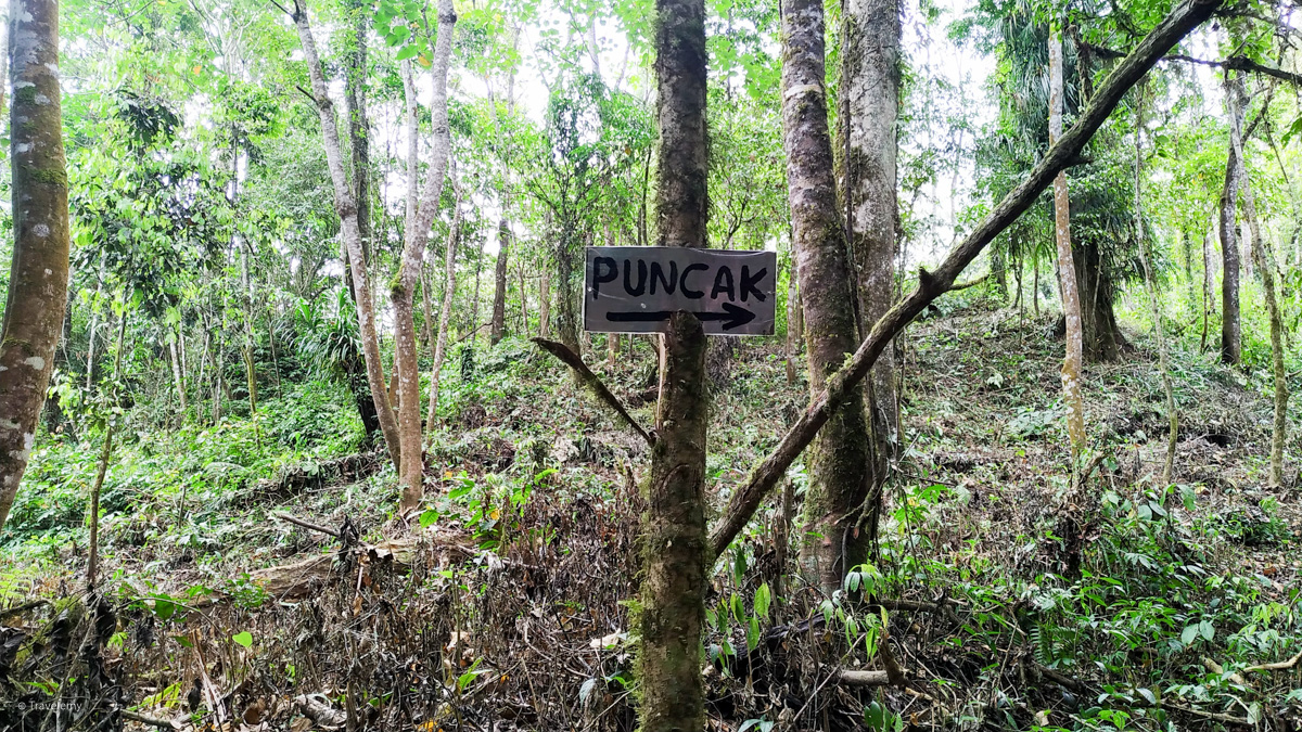 Small signs showing way to Puncak (Peak)
